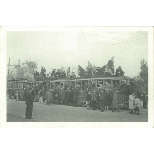 Budapest. February 7, 1945, the first tram starts after the war. Photo sheet, postcard. (2791058)