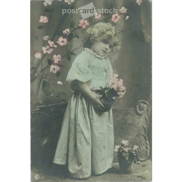 1908 – Romantic postcard. With Budapest stamp. Colored photo sheet, postcard. (2791084)