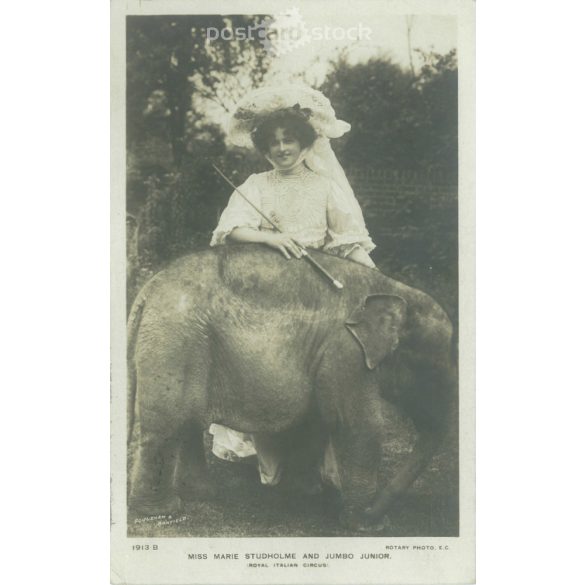 1906 – Miss Marie Studholme actress and Jumbo Junior. Photo sheet, postcard. (2791189)