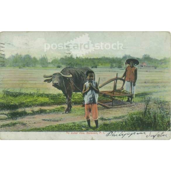 1910 – Manila. Philippines. Colored photo sheet, postcard. (2791254)