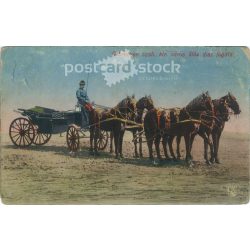   1912 – Horse-drawn parade carriage of the free royal city, Debrecen. Colored photo sheet, postcard. (2791288)