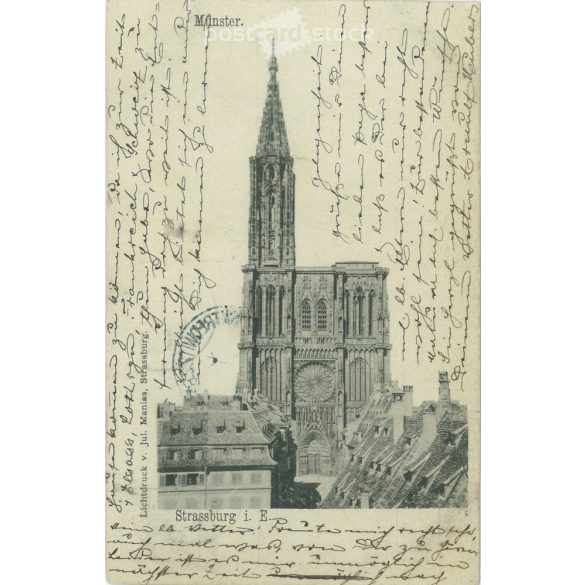 1901 – „Strassburg - Münster”. Cathedral of Our Lady in Strasbourg. Photo sheet, postcard. (2791346)