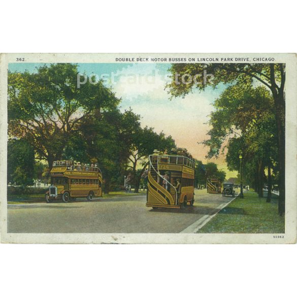 1921 – Chicago. Lincoln Park. Colored photo sheet, postcard. (2791353)