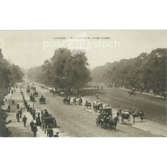 1906 – London. The Hyde park. Photo sheet, postcard. (2791385)