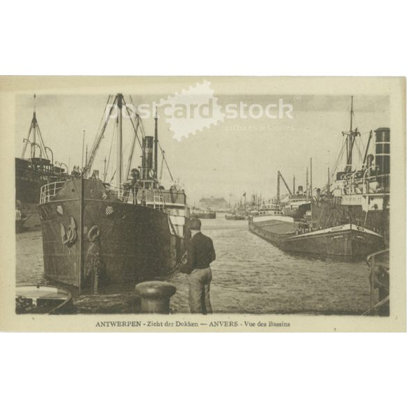 1929 – Docks in the port of Antwerp. Photo sheet, postcard. (2791501)