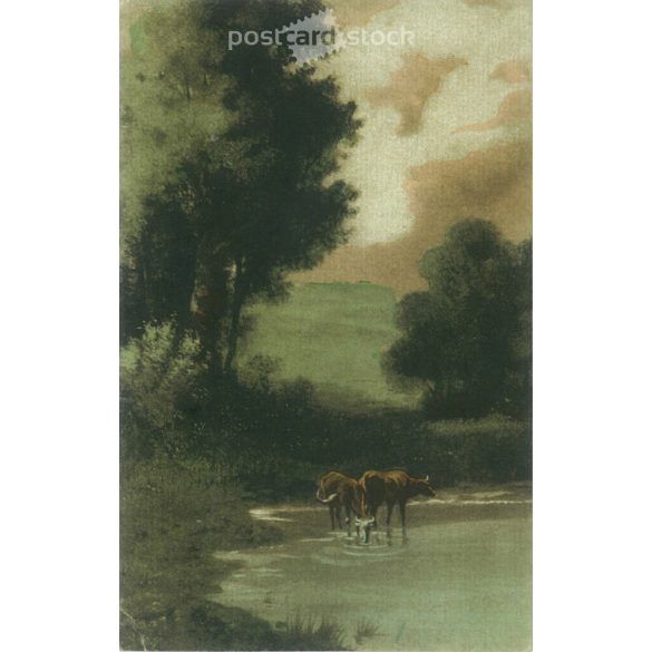 1912 – Rural landscape. Animals drinking. (2791522)