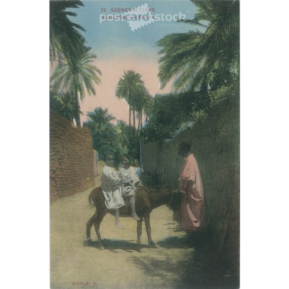 Oasis of Biskra. Colored photo sheet, postcard. (2791535)