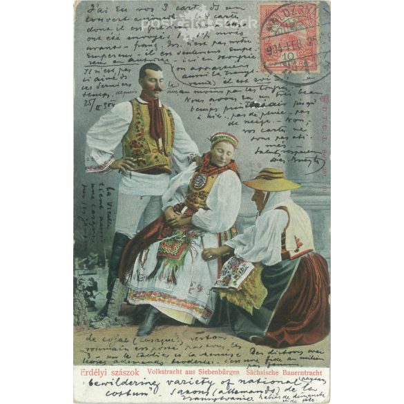 1905 – Saxon men of Transylvania. Colored photo sheet, postcard. (2791585)