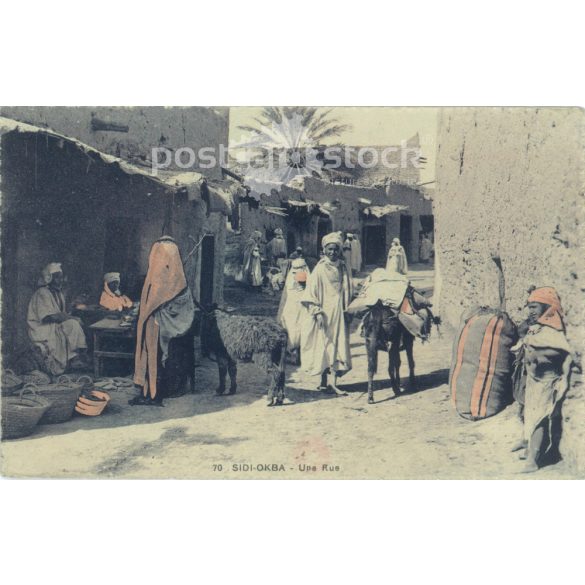 Sidi Okba. Colored photo sheet, postcard. (2791679)