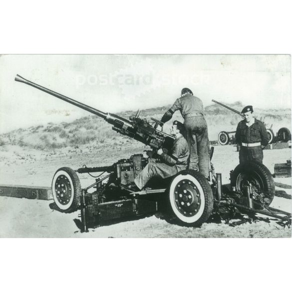 Belgian army. Black and white photo sheet, postcard. (2791697)