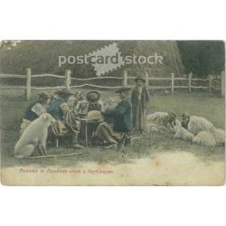   1908 – Lunch of foals and shepherds in Hortobágy. Colored photo sheet, postcard. (2791720)