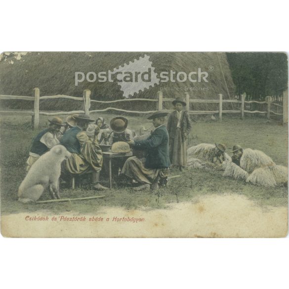 1908 – Lunch of foals and shepherds in Hortobágy. Colored photo sheet, postcard. (2791720)