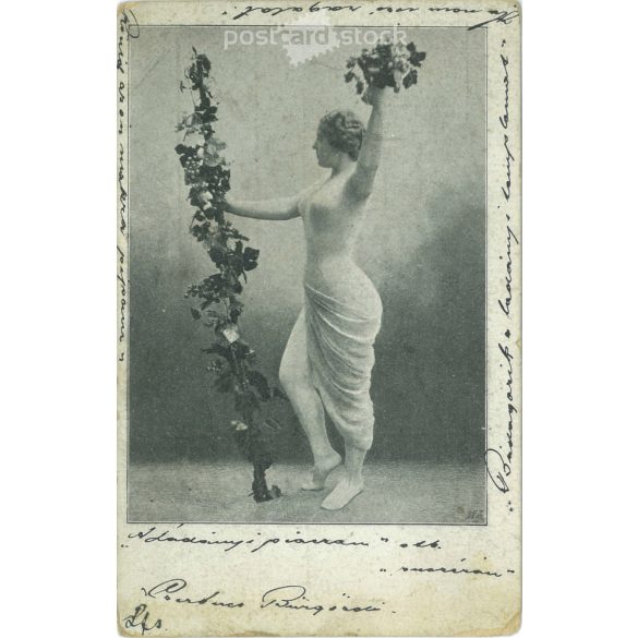 1903 – Romantic postcard. Black and white photo sheet. (2791725)