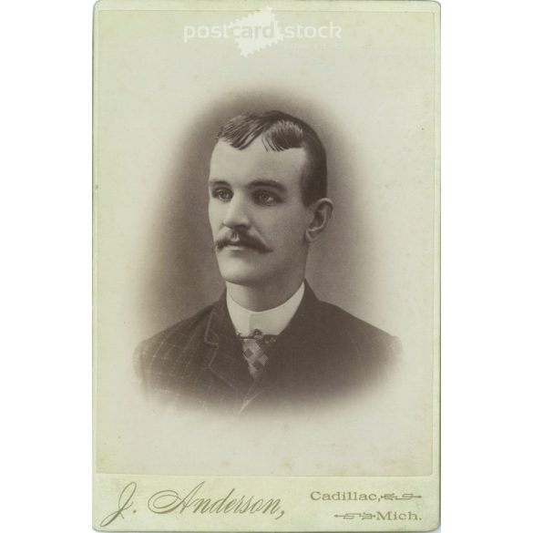 Cabinet photo by J. Anderson. Portrait of young wealthy man. With the hair and mustache of the 1910s. (2791792)