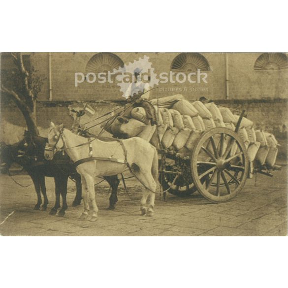 Naples, contemporary horse-drawn carriage loaded with bags. Postcard, photo sheet. (2791811)