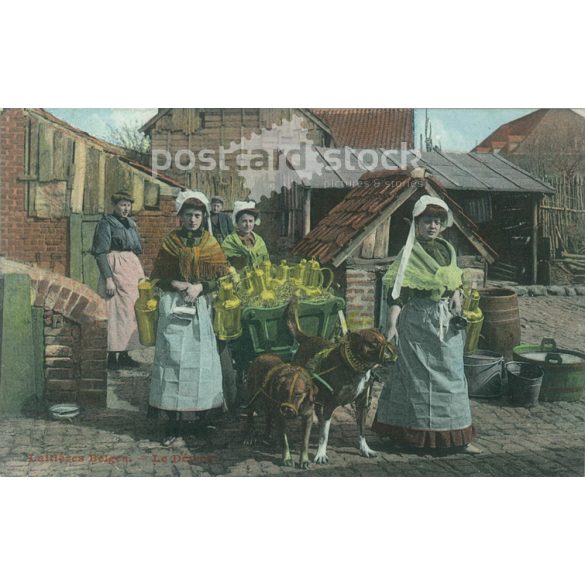 Belgian, milky girls in national costumes. Postcard, colored photo sheet. (2791813)