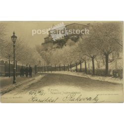   1904 – Tallinn. Reval - Aussere Sigsternstrasse. Estonia. Postcard, photo sheet. (2791886)