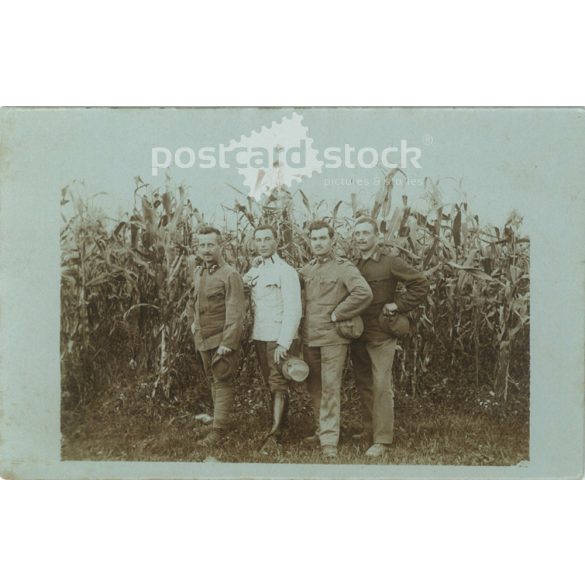 1918 – The end of the war. K.u.K. soldiers in front of the cornfield. Postcard, photo sheet. (2791890)