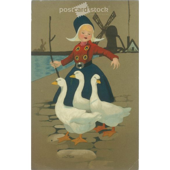 1911 – Girl dressed in Dutch folk costume with geese. Postcard, greeting card. (2791898)