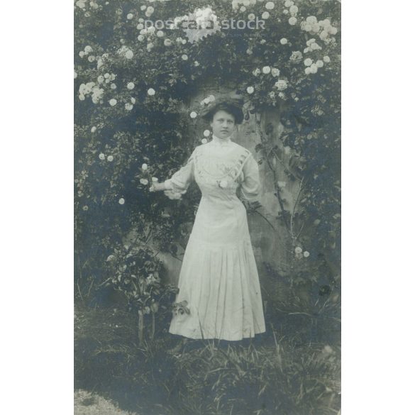 1910 – Young woman in front of a rose bush. In elegant dress, full-length photo. Original paper image. Postcard, photo sheet. (2791914)