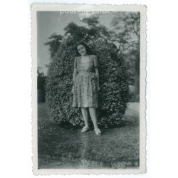   Full length photo of young woman in elegant dress in the park. Small original paper image. (2792018)