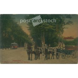   1916 – Debrecen. A free royal city, with five decorations. Colored photo sheet, postcard. (2792081)