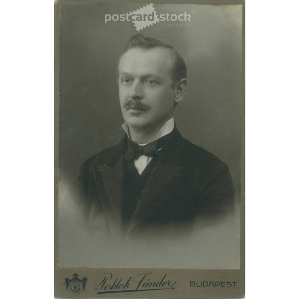 Early 1900s. Photography studio of Sándor Pottok, Budapest. Studio portrait photo. Unknown man, elegantly dressed, with a bow tie. Cabinet photo / hardback photo / business card, CDV photo. (2792120)