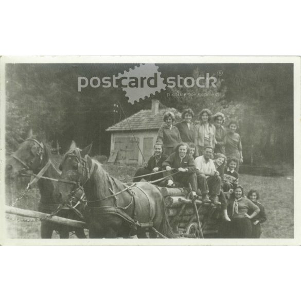 1959 – Girls on a wooden cart, somewhere near Miskolc. Fun group photo. Original paper image. (2792171)