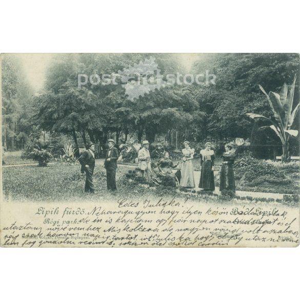 1902 – Lipik spa, old park (today’s Croatia). Made by Schmidt Edgar in Dresden-Budapest. Photo sheet, postcard. (2792287)