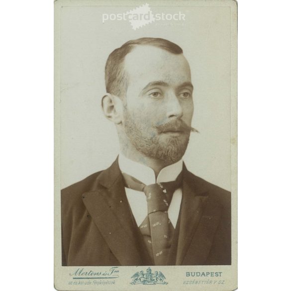 Late 1800s. Elegant, young man, portrait photo, identity unknown. The photo was taken in the photography studio of Mertens és Társa in Budapest. Original cabinet photo / hardback photo / business card, CDV photo. (2792311)