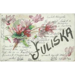   1900 – Greetings to Juliská from the turn of the century. Lithographed, mica dust greeting card. (2792324)