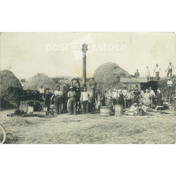 Early 1900s. Threshing in the border. Made in Máté photography studio in Dombóvár. Black and white paper image. Old postcard, photo sheet. (2792373)