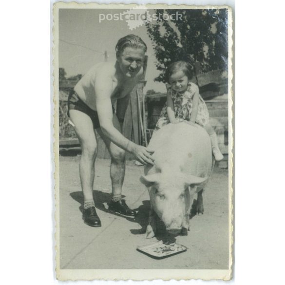 1930s. Riding the pig. Black and white original paper image, old photo. (2792407)