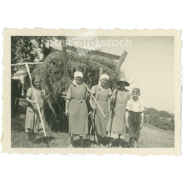 1930s. Germany. Hay collection is over. Its maker is unknown. Black and white original paper image, old photo. (2792438)