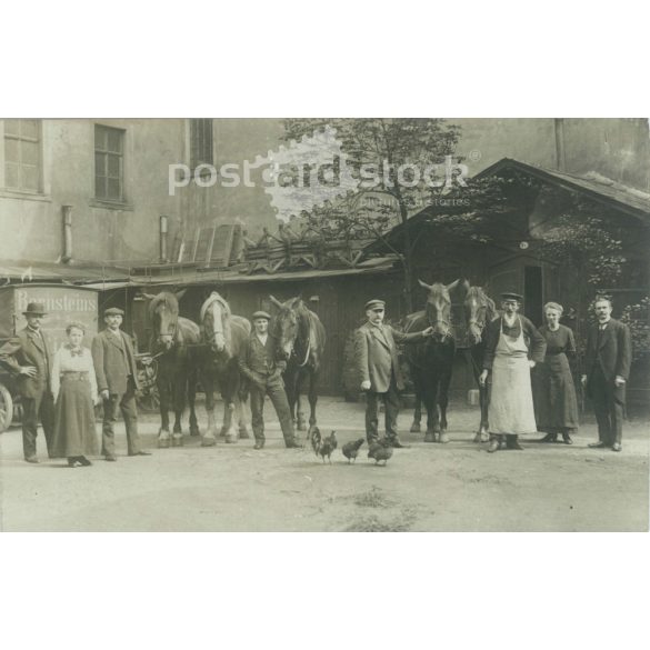 1930s. Germany. Horse fair. Original paper image, old postcard, photo sheet. (2792449)