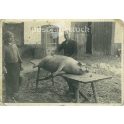   1960s. Germany. Homemade pork belly. Black and white original paper image, old photo. (2792481)