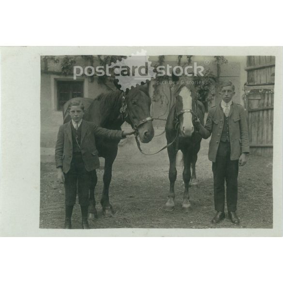 1950s. Germany. Young lads with horses. The creator of the picture and the identity of the people on it are unknown. Original paper image, old postcard, photo sheet. (2792493)