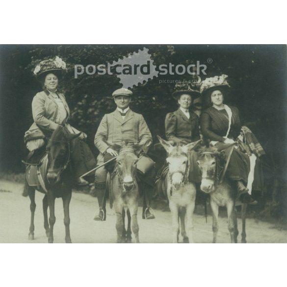 1930s. Germany. Elegant company, on the back of a donkey. The creator of the picture and the identity of the people on it are unknown. Original paper image, old postcard, photo sheet. (2792505)