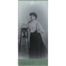   The work of Károly Rechnitzer’s photography studio. Early 1900s. Pančova, Serbia. Studio photo of an unknown young lady. Old photo, business card, CDV photo. (2792576)