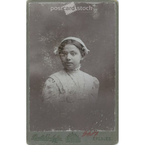 1900. Studio photo of a young woman in elegant clothes. The person in the picture is unknown. The work of the photography studio of Károly Divald’s son. Strawberry. Old photo, business card, CDV photo. (2792705)