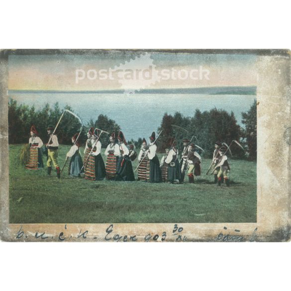 1903 – Reapers. Mouse. Original paper image. Old photo. Colored photo sheet, old postcard. (2792746)