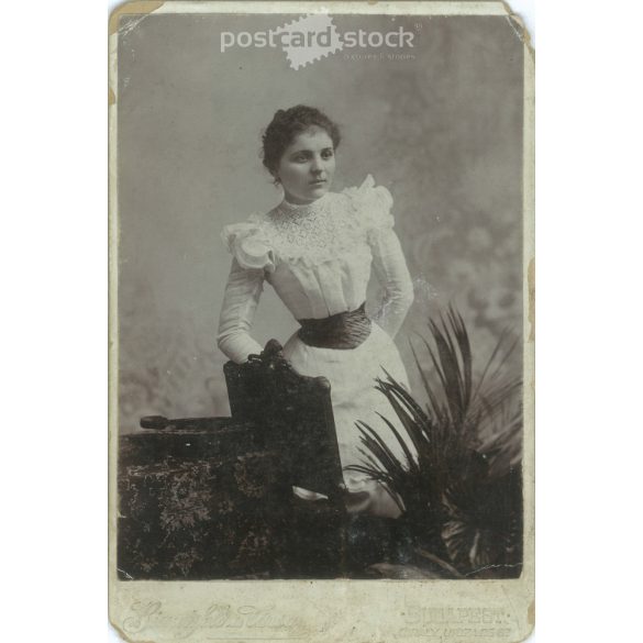 Late 1800s. Studio photo of a young lady. The person in the picture is unknown. The photo was taken by Bienenfeld and Társa photography studio. Budapest. Old photo, original cabinet photo / hardback photo. (2792763)